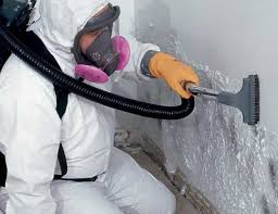 Professional Mold Removal in Upper Montclair, NJ